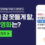 웹하드와 파일나루- 새로운 디지털 세상을 만나다