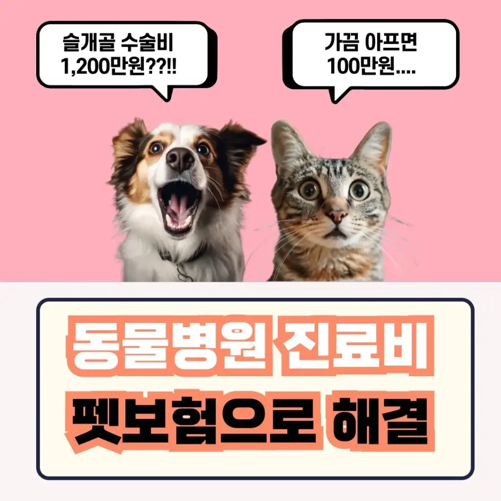 펫 보험 비교3